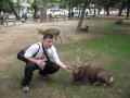 Фотоотчет. Япония 2007.