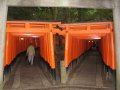 Фотоотчет. Япония 2007.