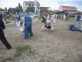 Фотоотчет. МЕЖДУНАРОДНЫЙ ЛЕТНИЙ ЛАГЕРЬ ИНТЕНСИВНОЙ ПОДГОТОВКИ «БУШИН-КАЙ ИНТЕРНЭШНЛ» 2009.
